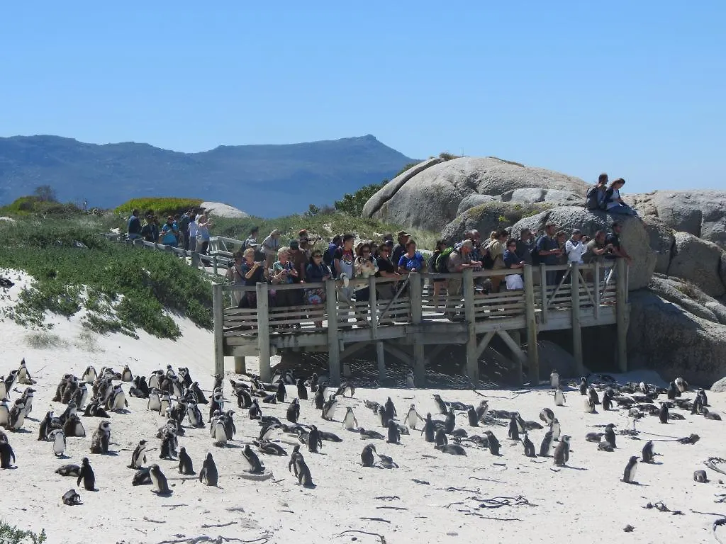 Brighton Court Beachfront Luxury Apartment Cape Town