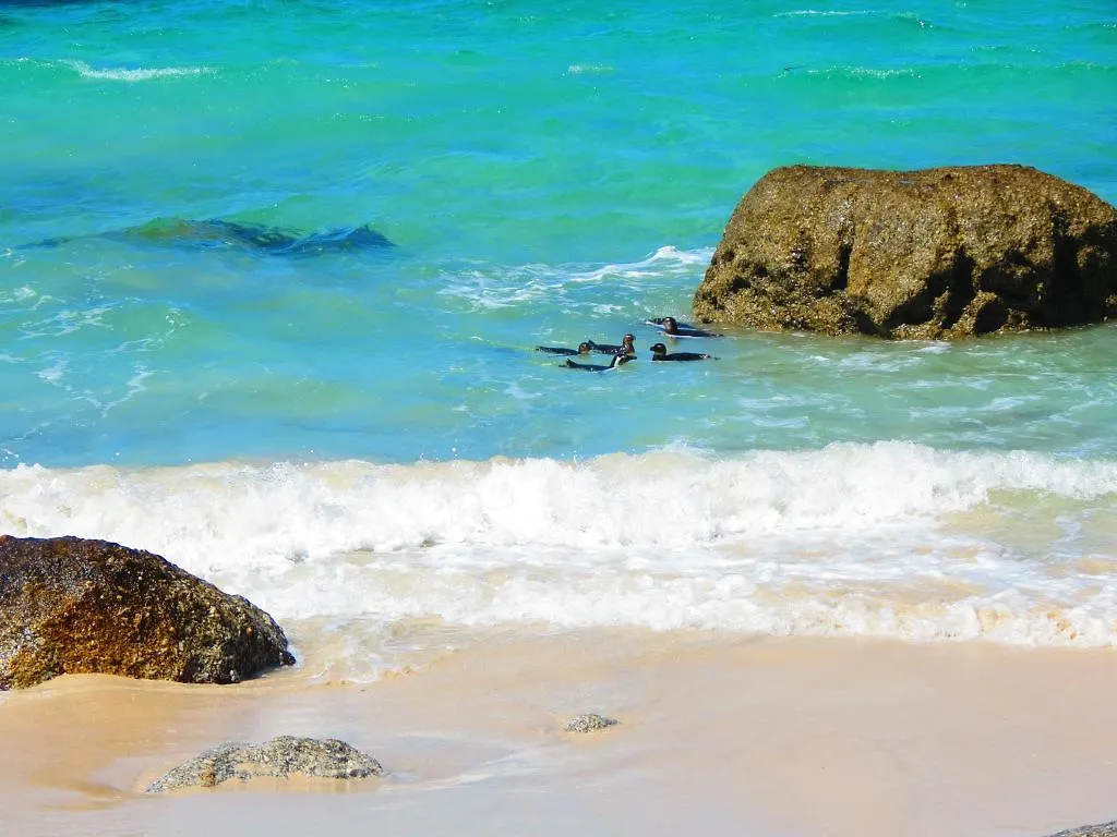 Brighton Court Beachfront Luxury Apartment Cape Town South Africa